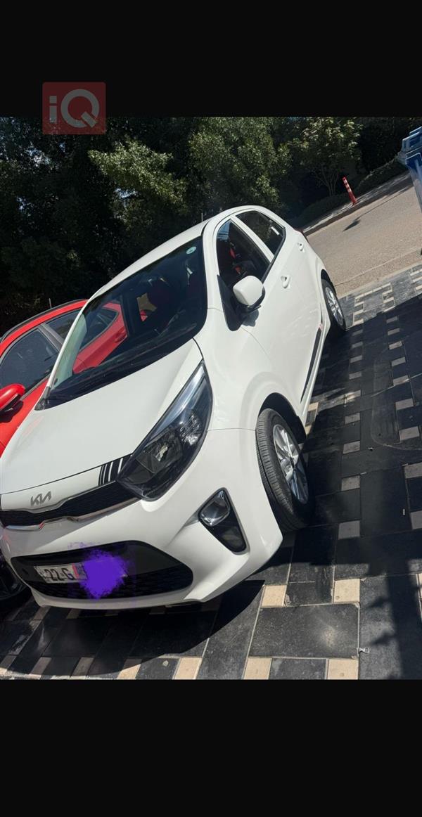 Kia Picanto 2023 for sale in Iraq - Erbil